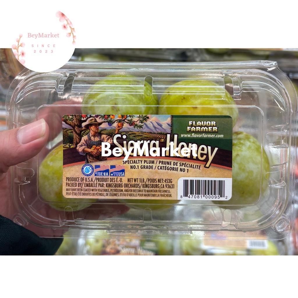 

Buah Plum Hijau USA Sierra Honey 500g Manis Segar Juicy Tesktur Lembut
