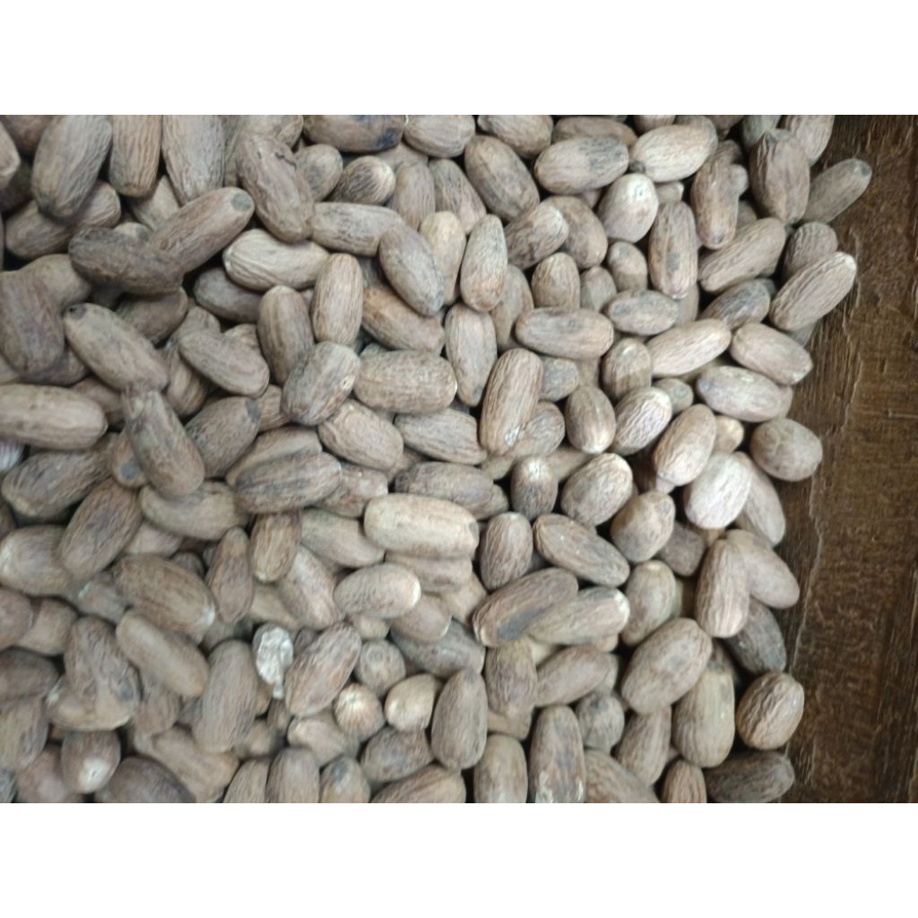 

Buah biji pala medan