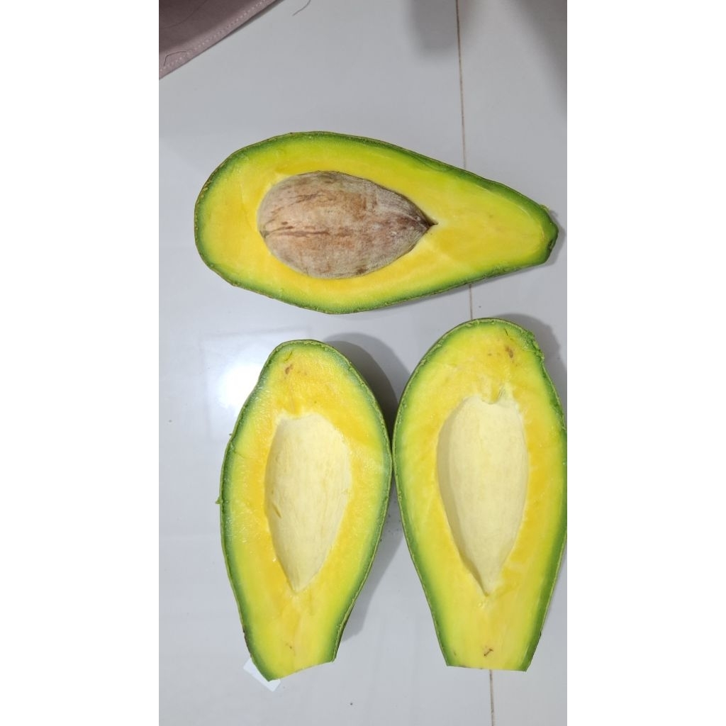 

Alpukat Siger Size Super