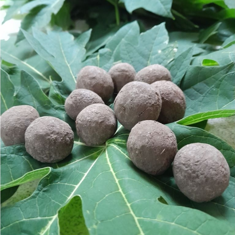 

AMPO TANAH LIAT PENGHILANG RASA PAHIT DAUN PEPAYA & PARE / LEMPUK isi 10 butir bonus 1 pcs