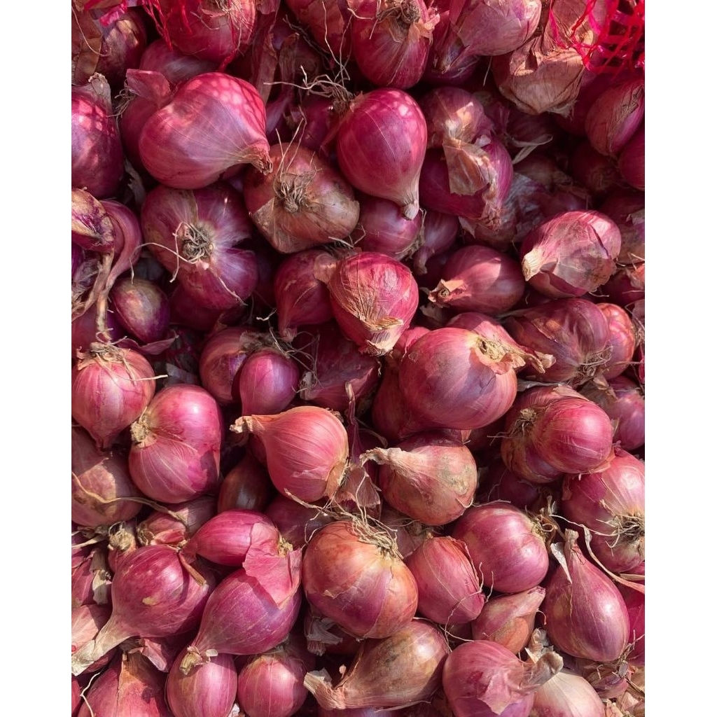 

bawang merah 1kg