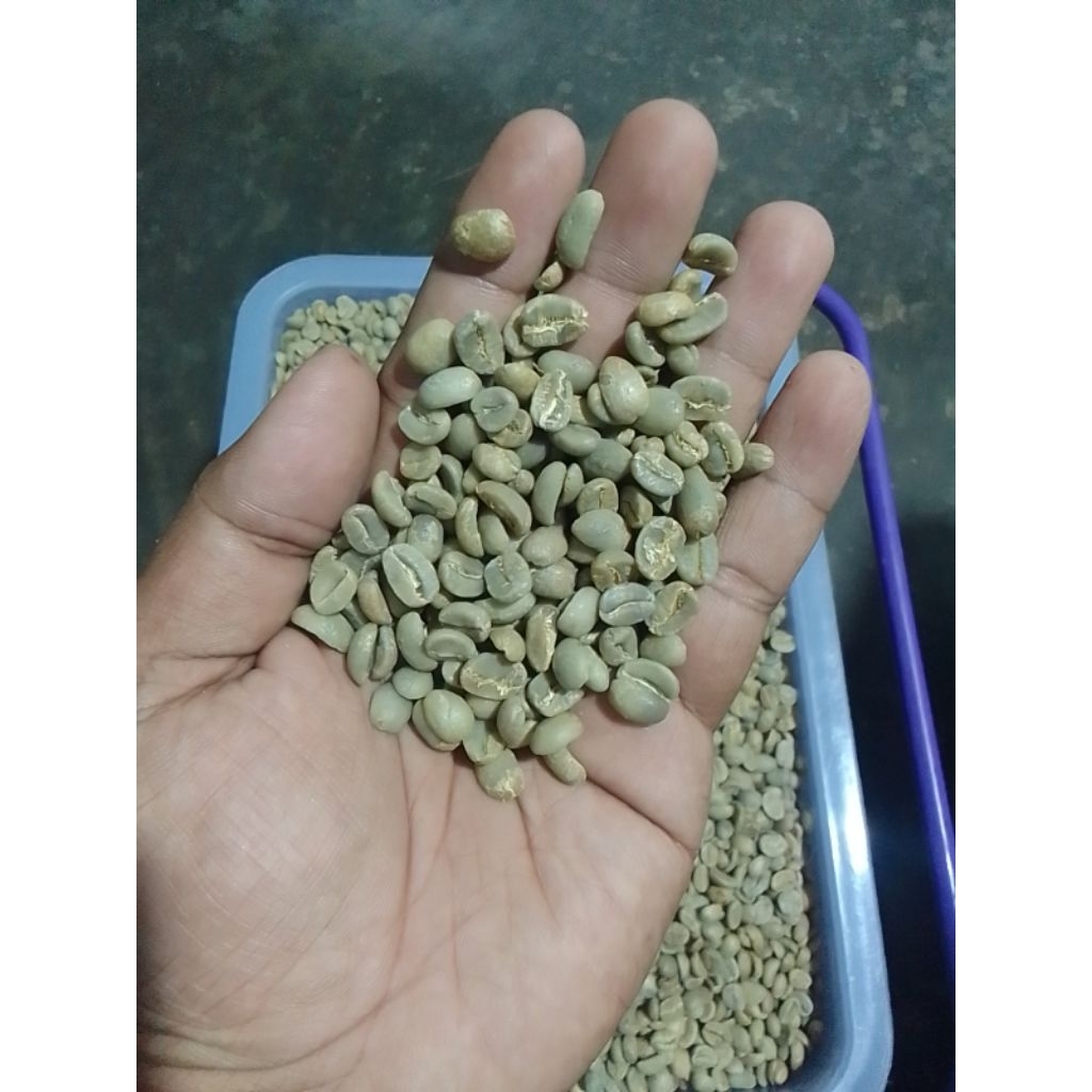 

BIJI/GREENBEEN KOPI ARABIKA PRODUK RN_COFFE