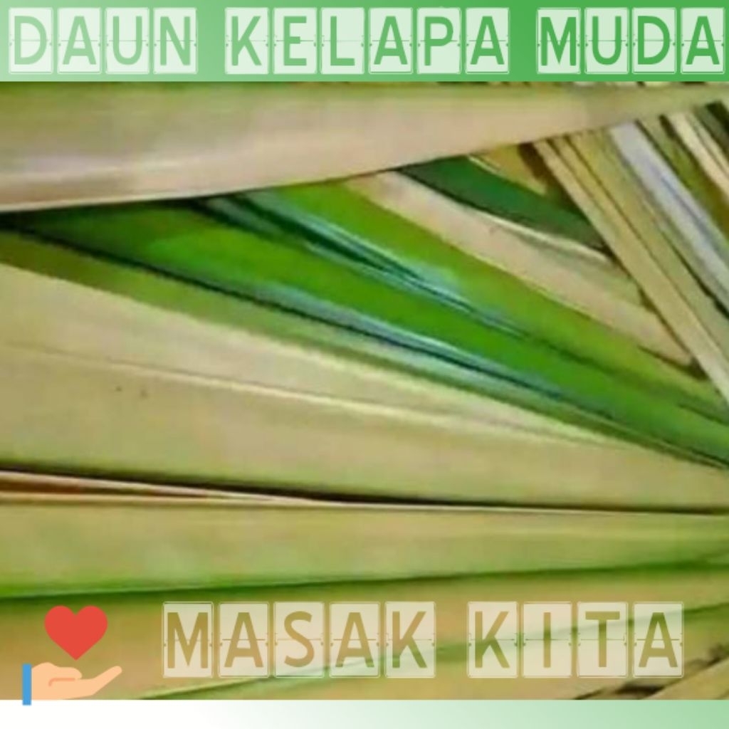 

daun kelapa 12 pic /ketupat/janur