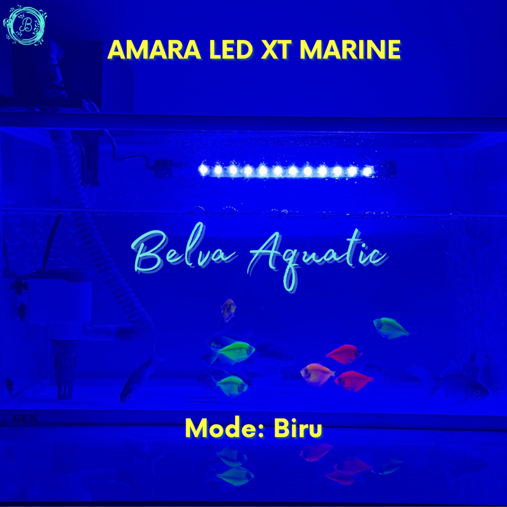 LAMPU LED AQUARIUM BIRU 3 MODE Lampu Celup Aquarium Warna Biru Bisa Ganti Warna