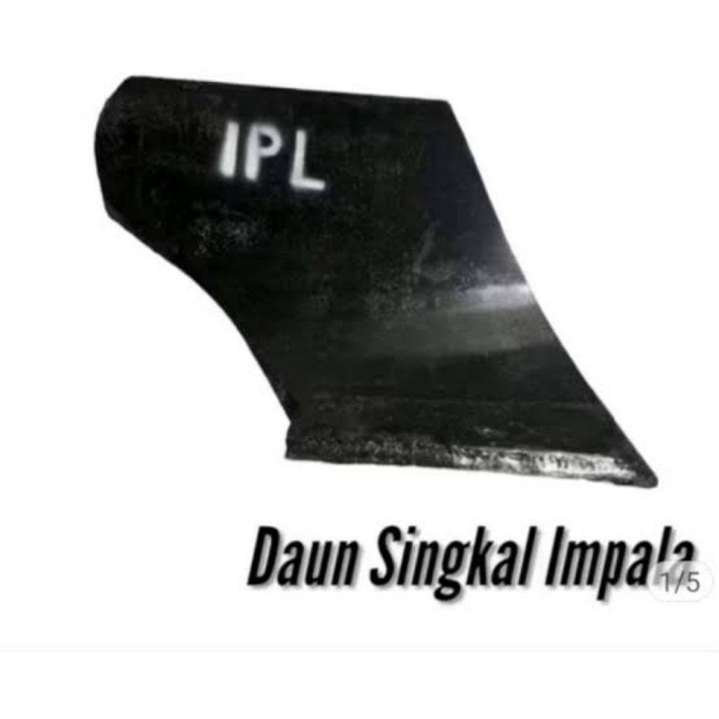 Termurah/terlaris Daun singkal impala/bajag sawah/kluku sawah