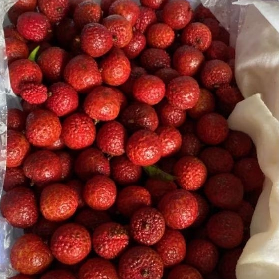 

Leci Madu Import Manis 500gr/1kg