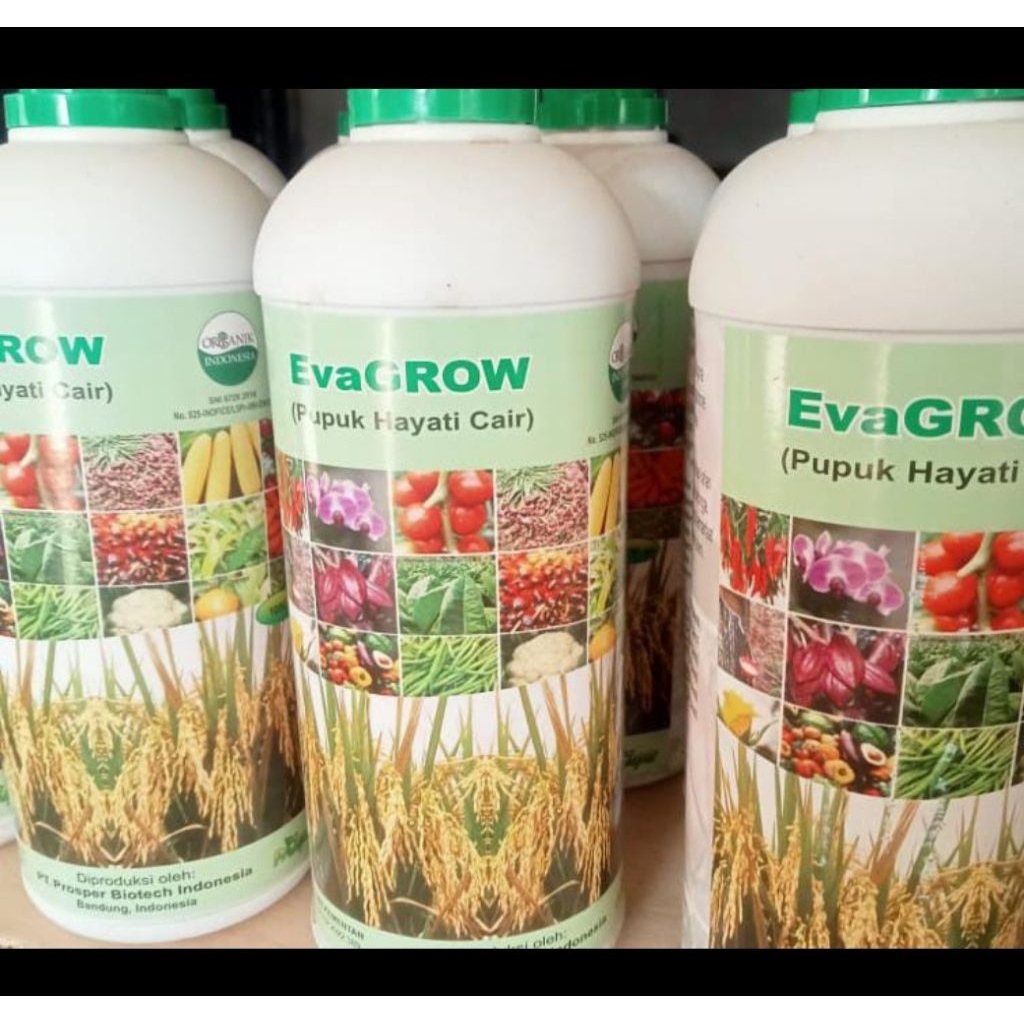 EvaGROW pupuk Hayati fungsida Tricoderma cair   1 liter