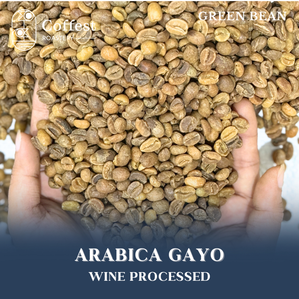 

Green Bean Arabika Gayo - Specialty Grade - Wine Processed