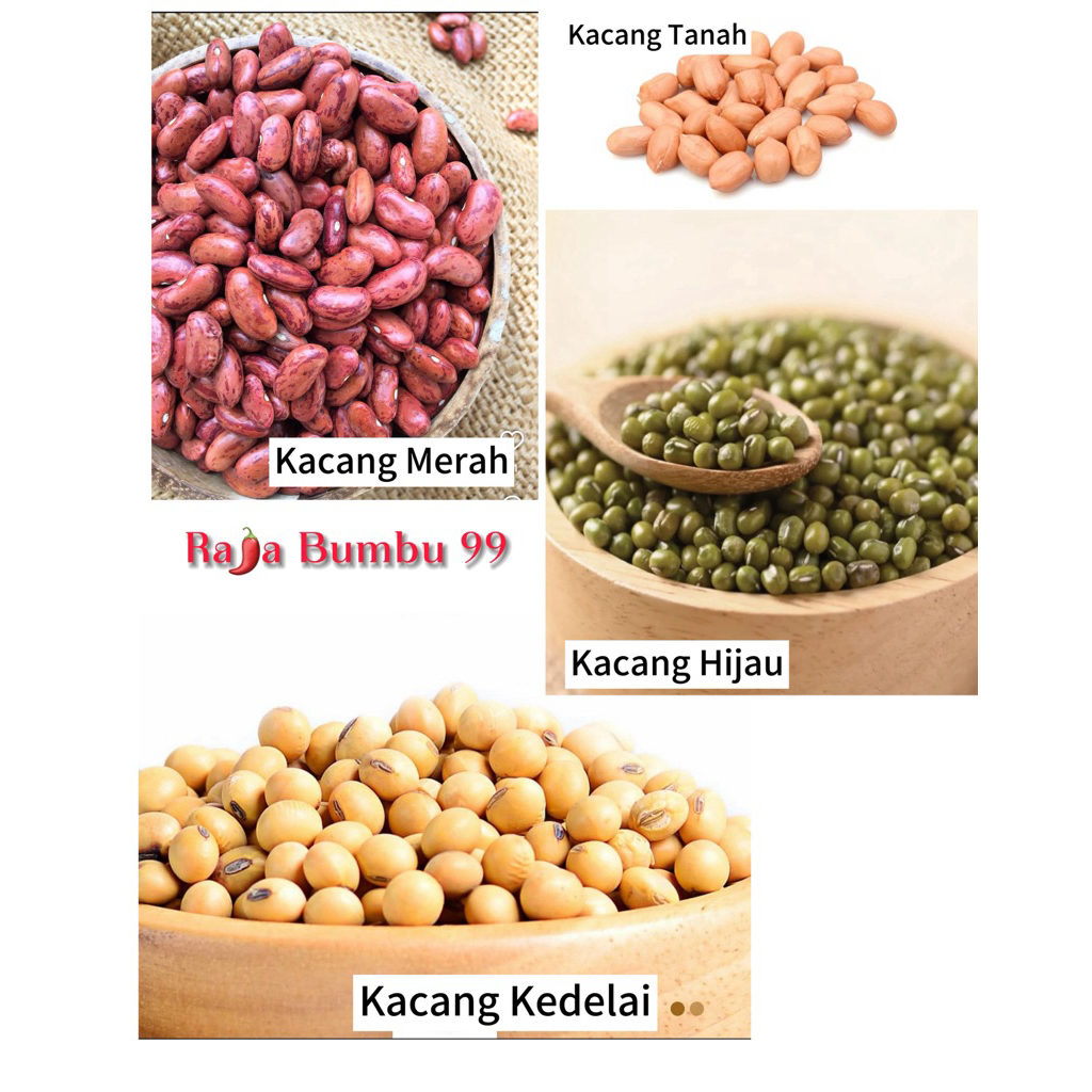 

Kacang Hijau , Merah , Kedelai , Tanah