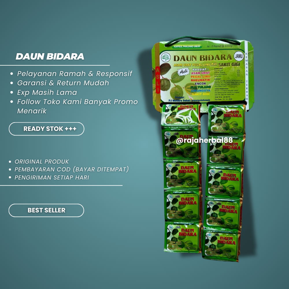 

Kapsul Daun Bidara Renceng 20 Sachet Original