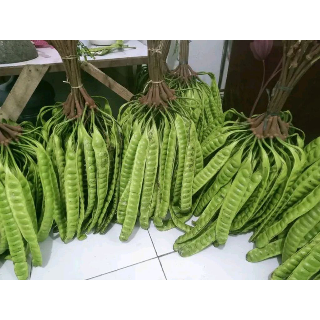 

pete super tua per 3 papan atau lonjor