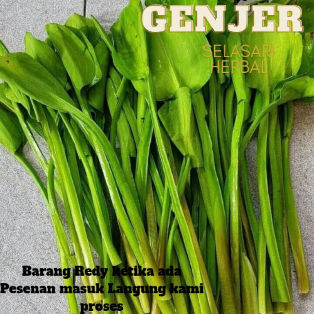 

sayur genjer per 2 iket