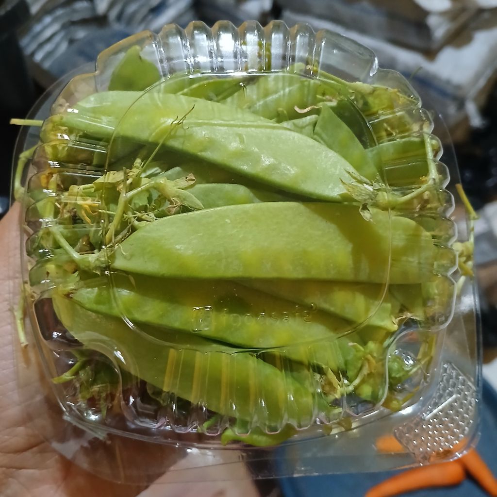 

INSTAN - KAPRI MANIS 1PACK 150GRAM