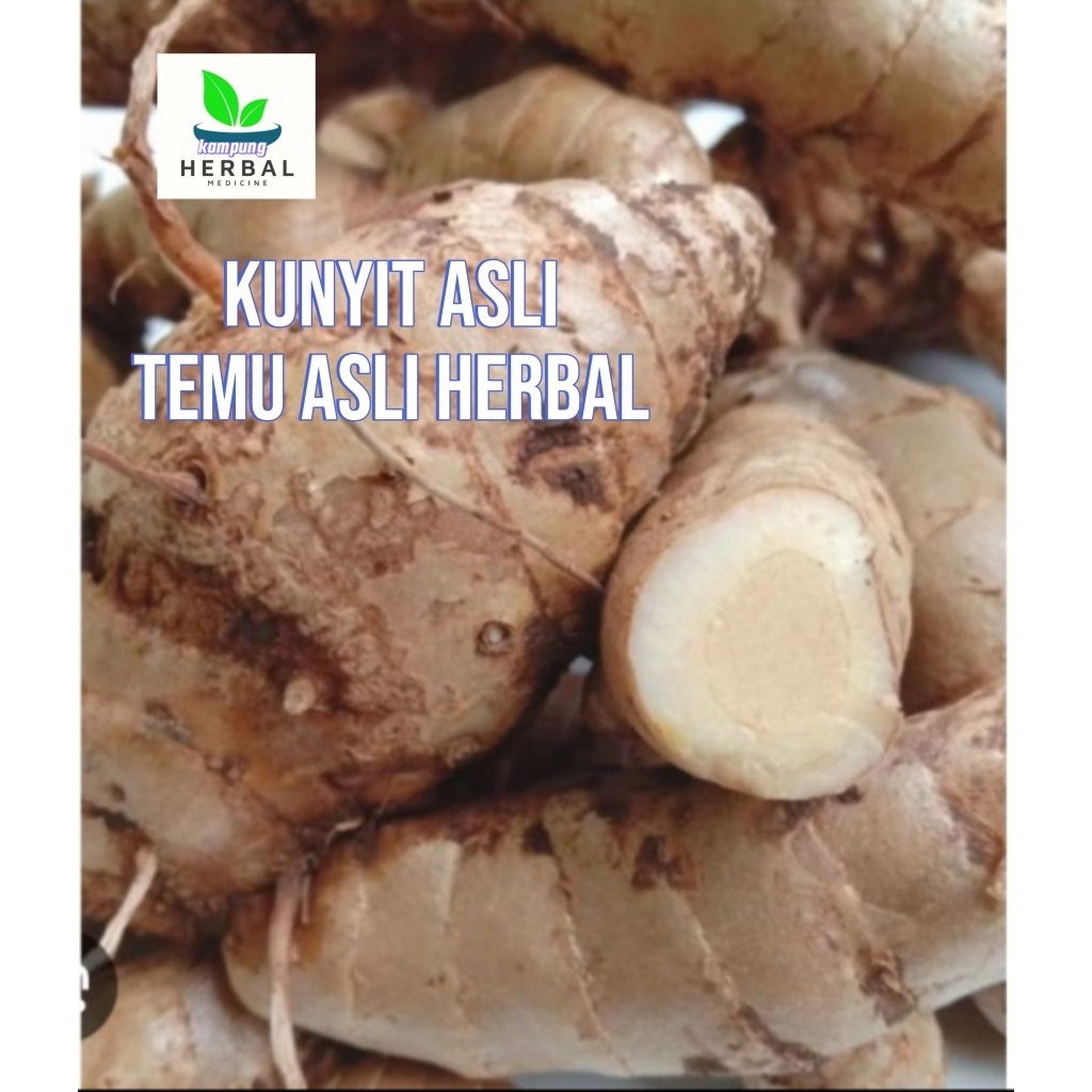 

temu putih asli 1kg