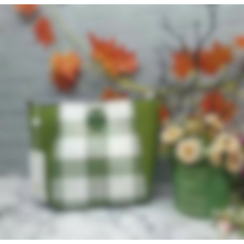 TB Mcgraw Woven Plaid Small Bucket Bag Shiso