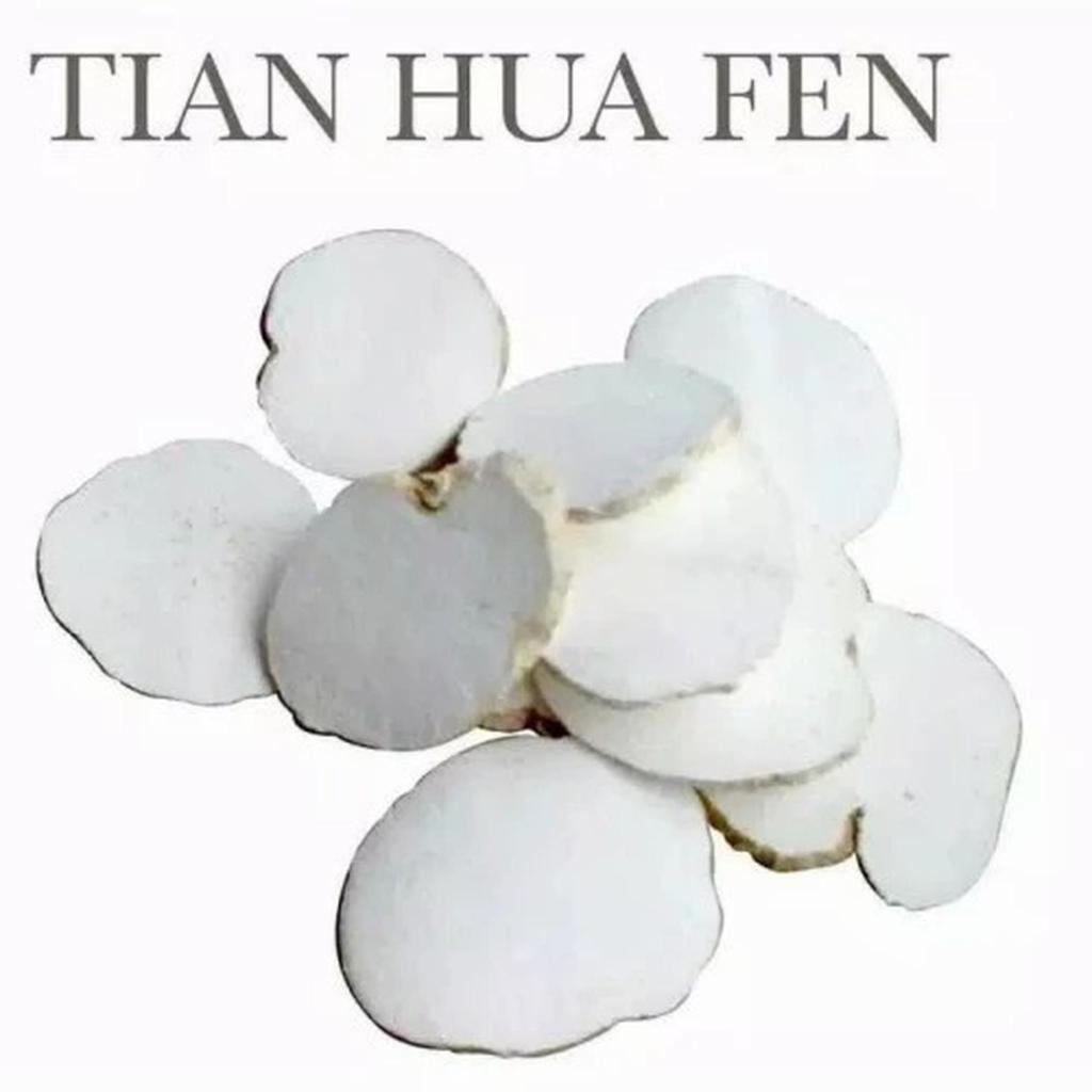 

Tian Hua Fen Trichosanthes Root Snakegourd Root