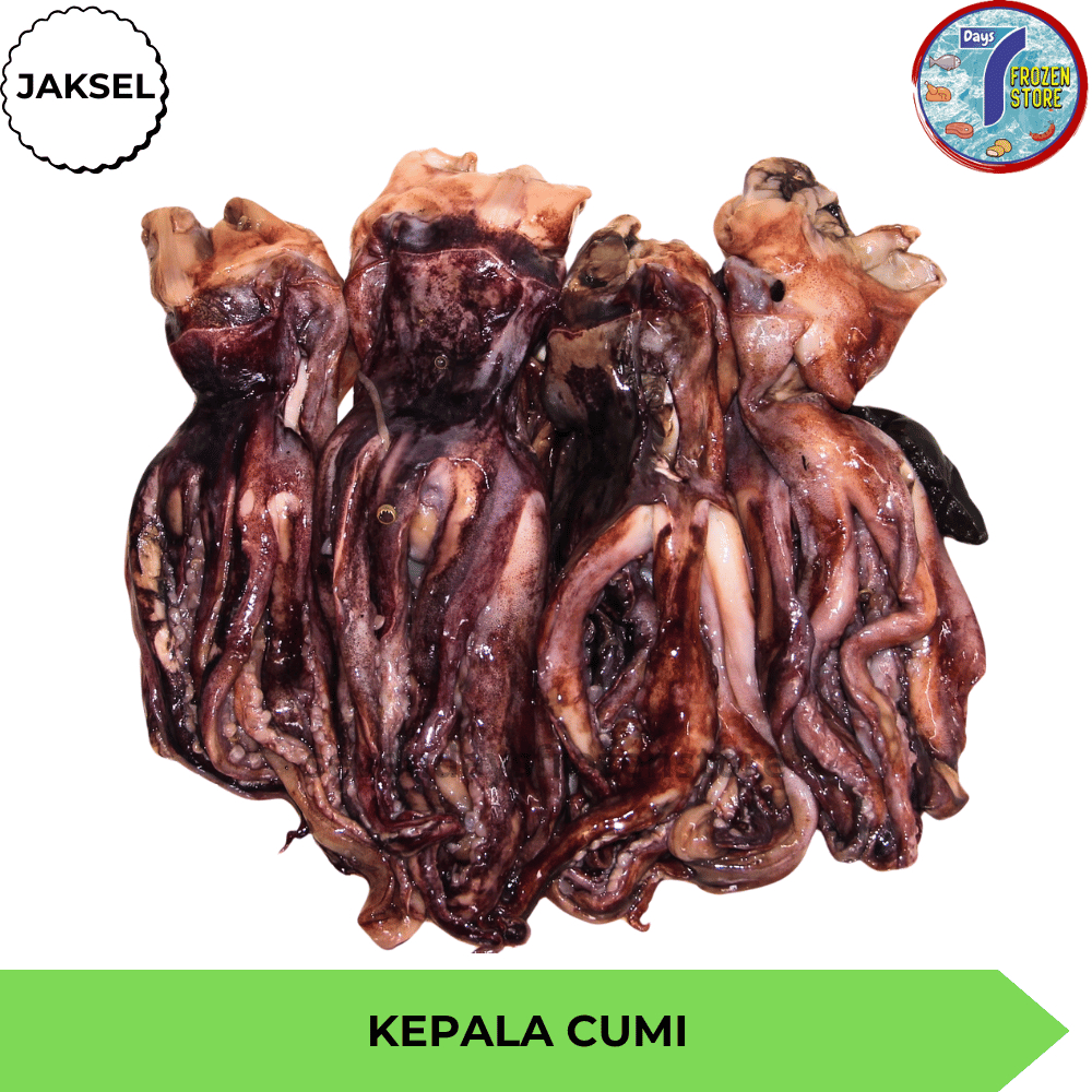 

Kepala Cumi-Cumi Beku Frozen Premium Quality 500 Gr