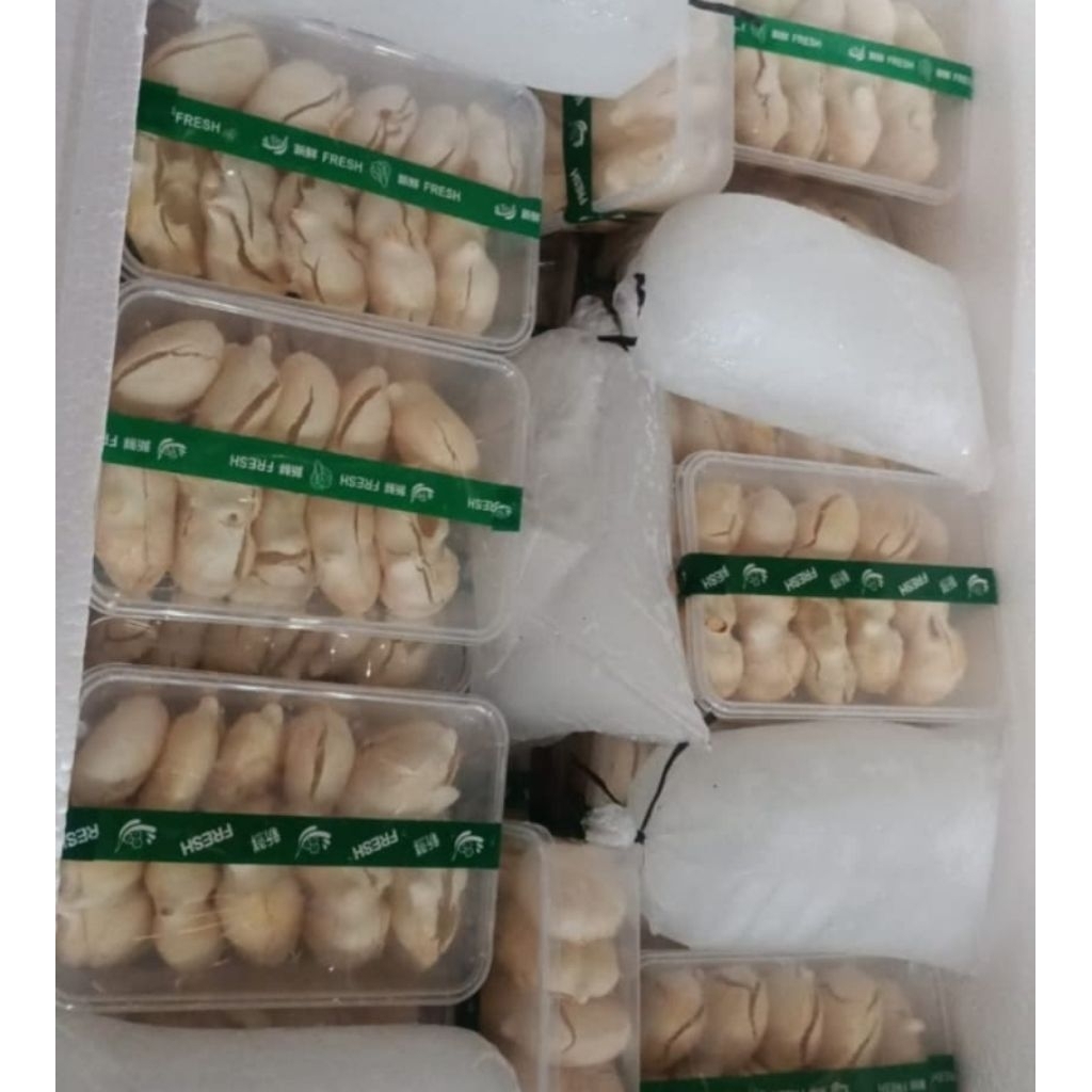 

BUAH LONTAR FRESH UK. 500GR