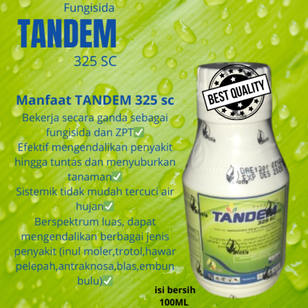 Tandem | Fungisida | 100 ml