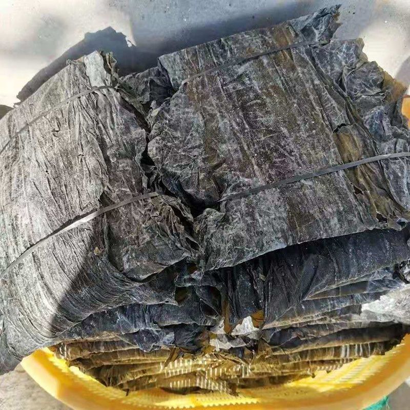 

KonBu / HaiTaiPhi / Dried Kelp 100gr Dashima Rumput Laut Kering Kombu Seaweed Haitai Haitaipi