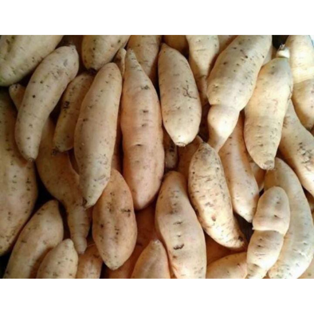 

ubicilembumaduper1kg