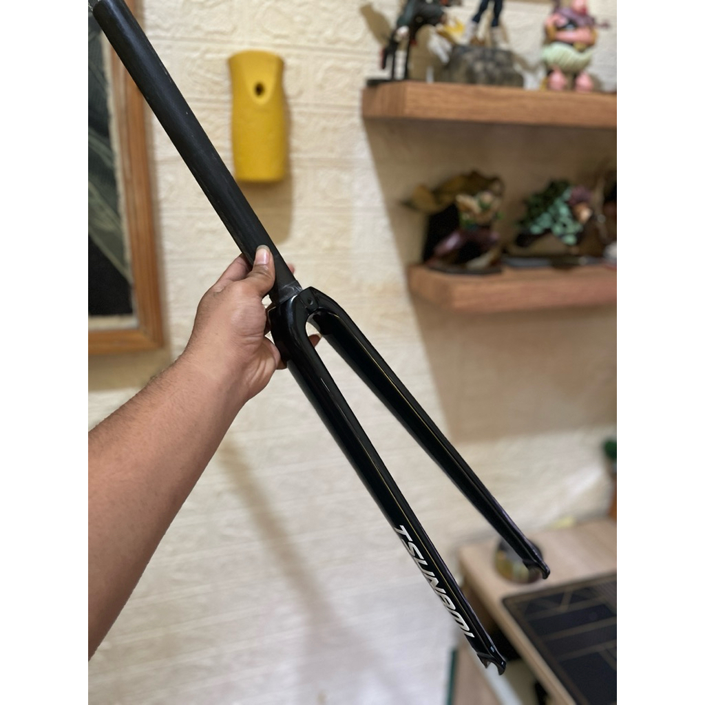 fork tsunami seaboard full carbon