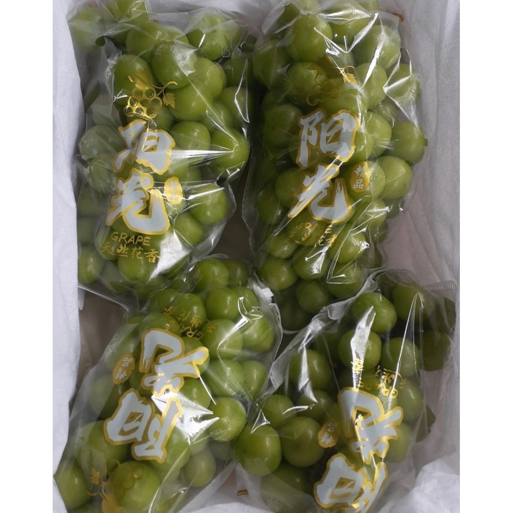 

Indukbuah Buah Anggur Shine Muscat Seedless Manis seger 1 Keranjang ±5kg