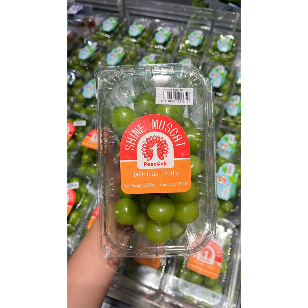 

Anggur 120.000 dapat 3 pack