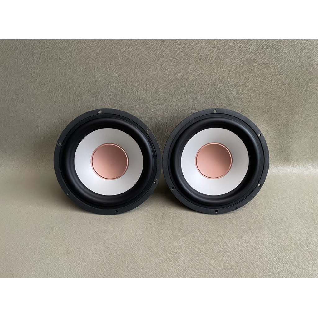 Speaker Midbass Audible Physics RAM 6B
