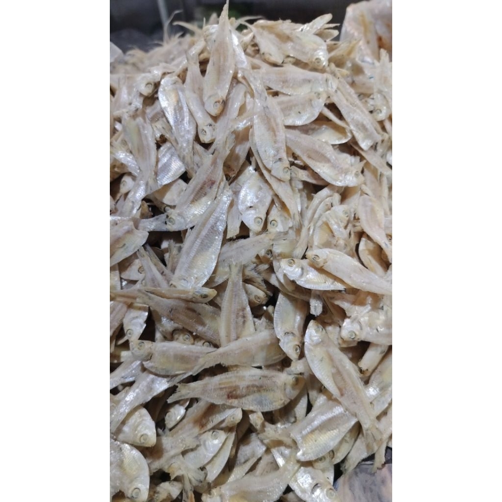 

IKAN ASIN KARO REBUS ♛ Ikan Asin Campah Putih Kualitas Premium