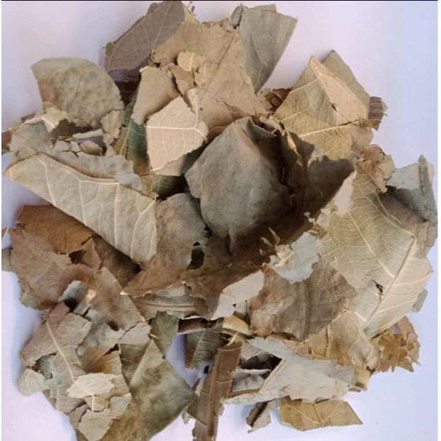 

500 gram Daun Sukun Kering / 250 gram Daun Sukun Kering Alami