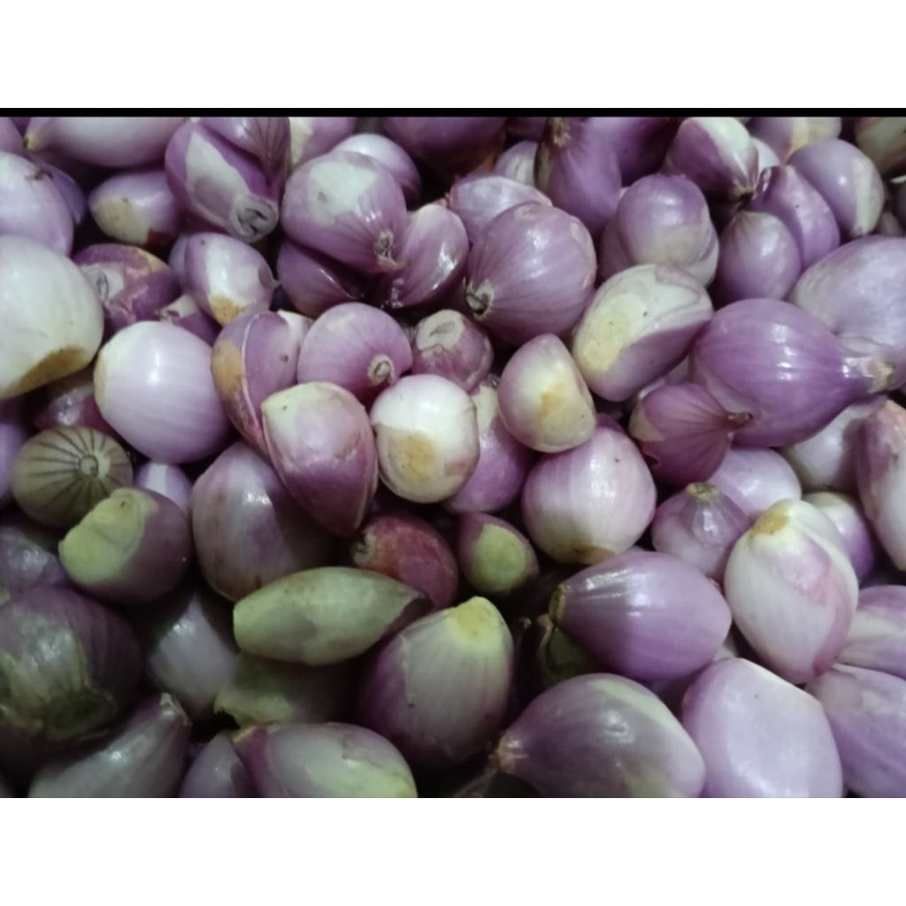 Bawang Merah kupas Premium Segar