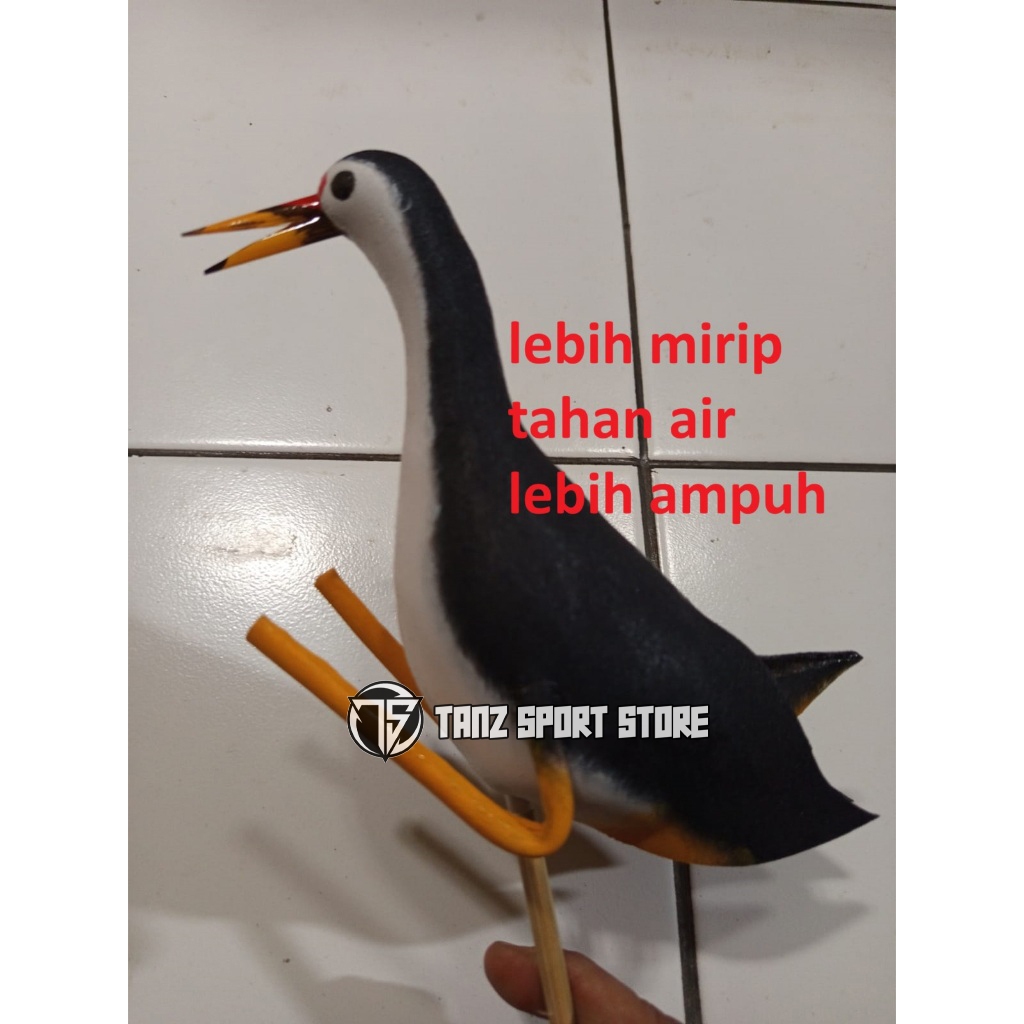 JONTROT RUAK PATUNG BURUNG KAREO RUAK RUAK ALAT PANCING DERBOMBOK MIRIP ASLI LEBIH AMPUH