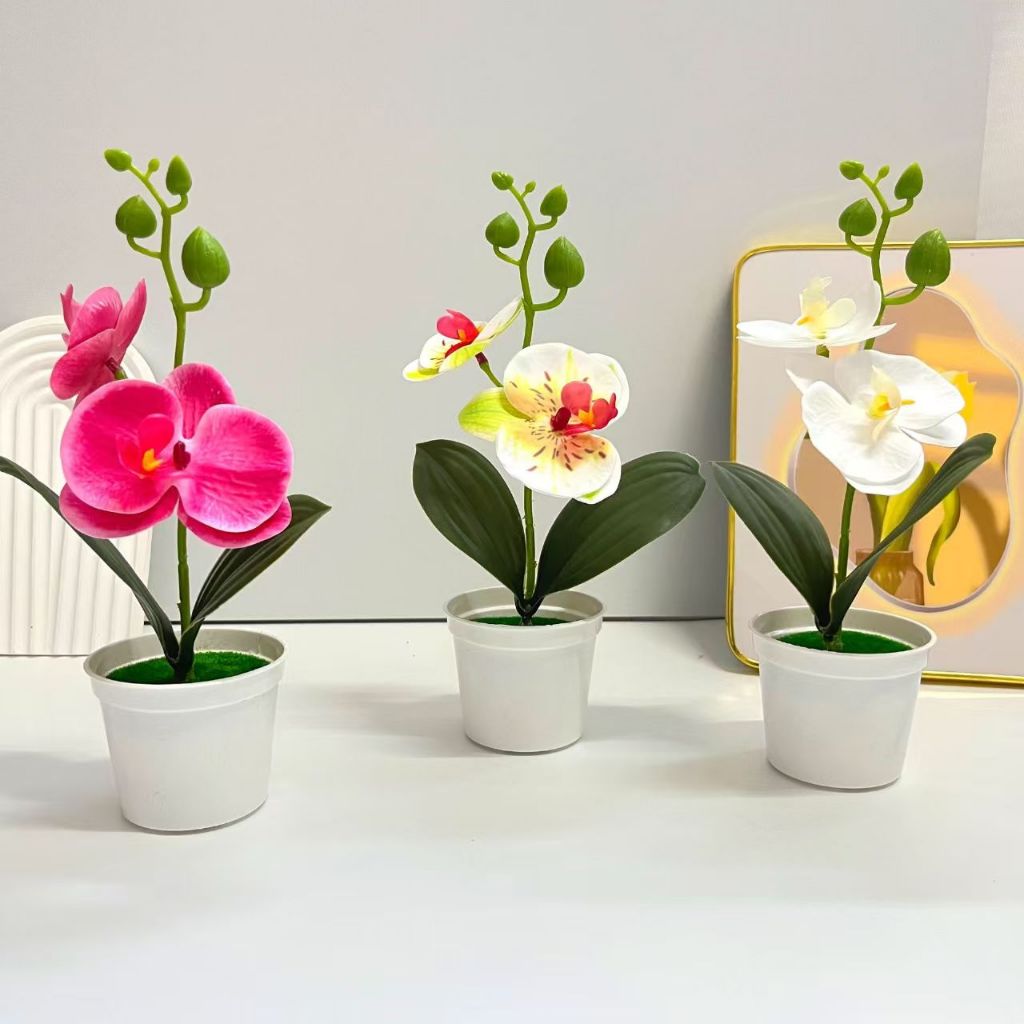 Bunga Anggrek Hias Phalaenopsis Dengan Pot Bulat Artificial Bunga Sutra Dekorasi Taman Rumah