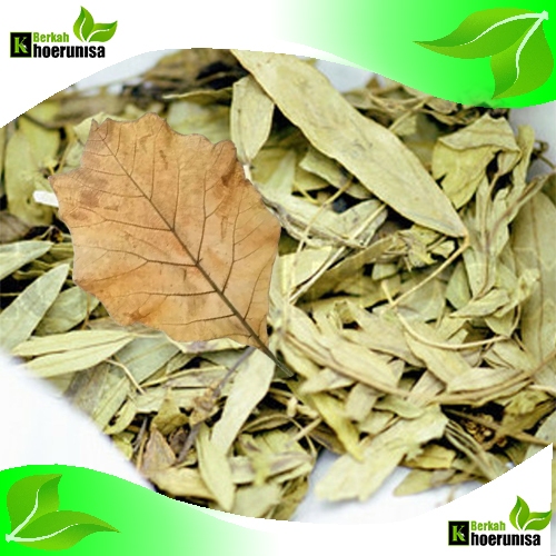 

Daun Jati kering 500 gram herbal alami