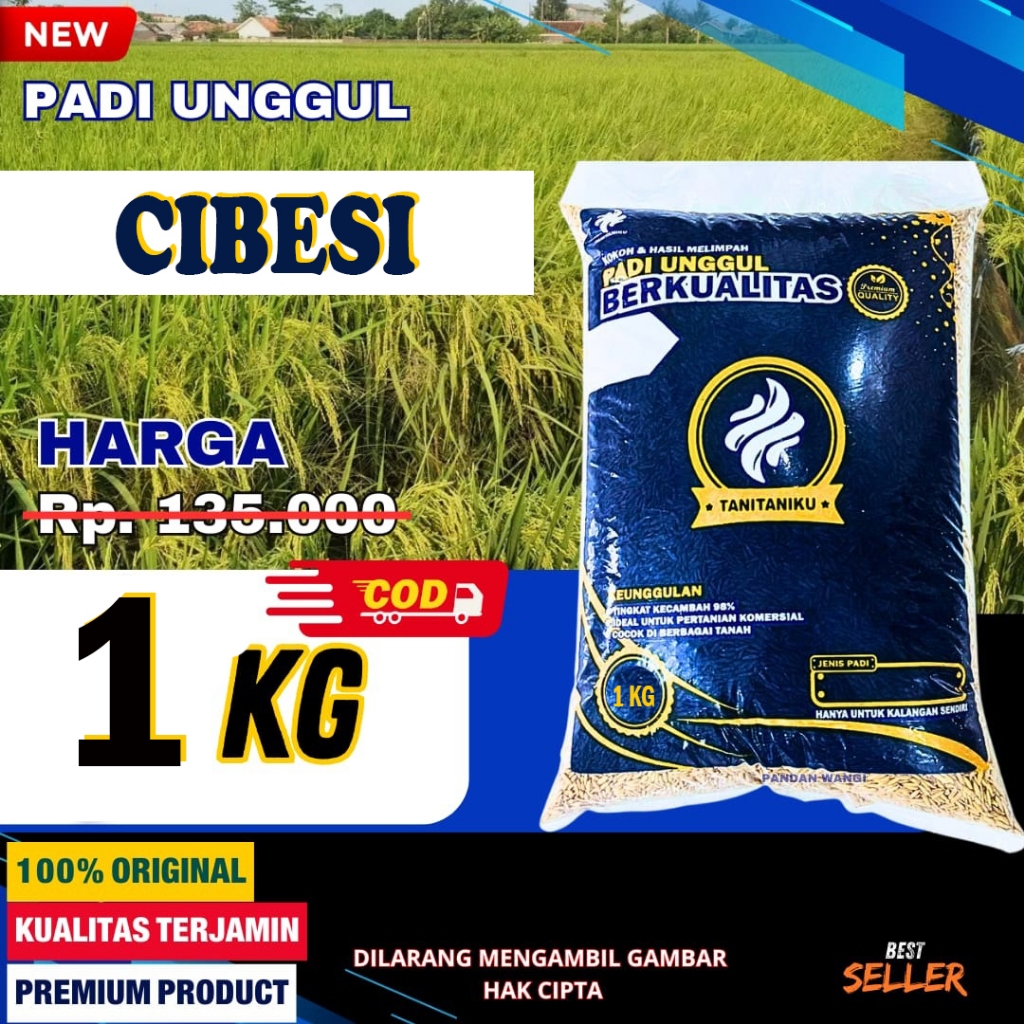Bibit Padi Unggul Cibesi 1kg