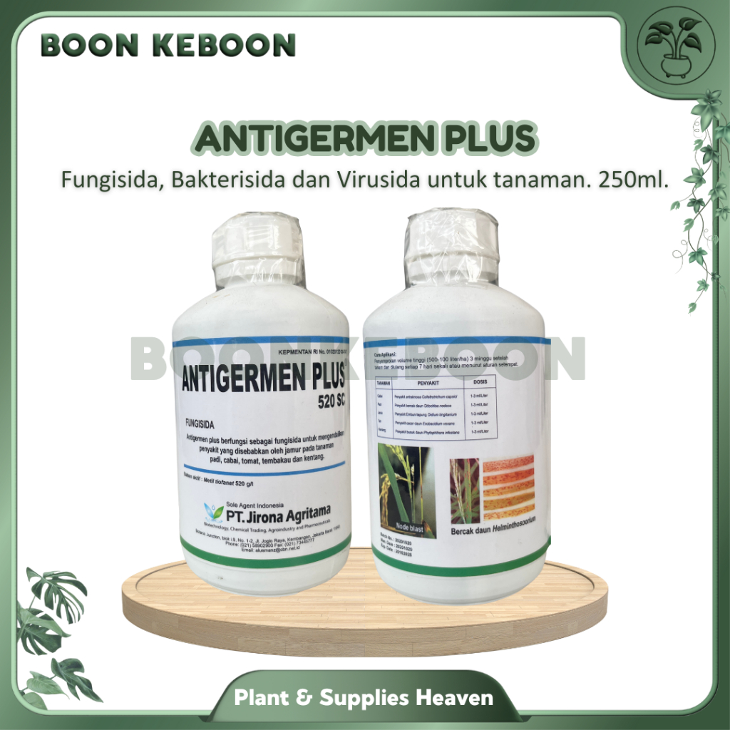 ANTIGERMEN PLUS 520 SC 250 ML - FUNGISIDA BAKTERISIDA