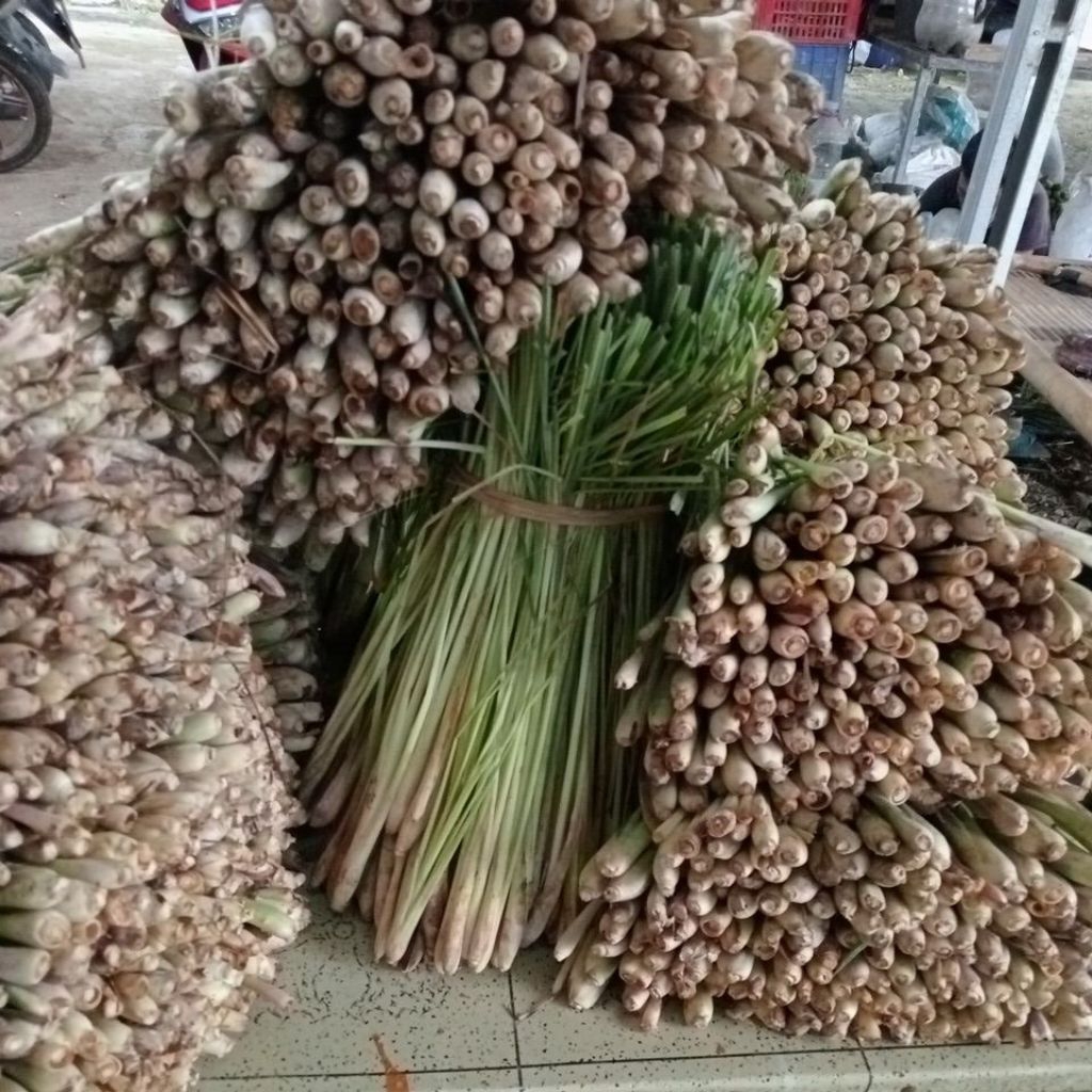 

Sereh Lokal Pilihan Fresh1KG