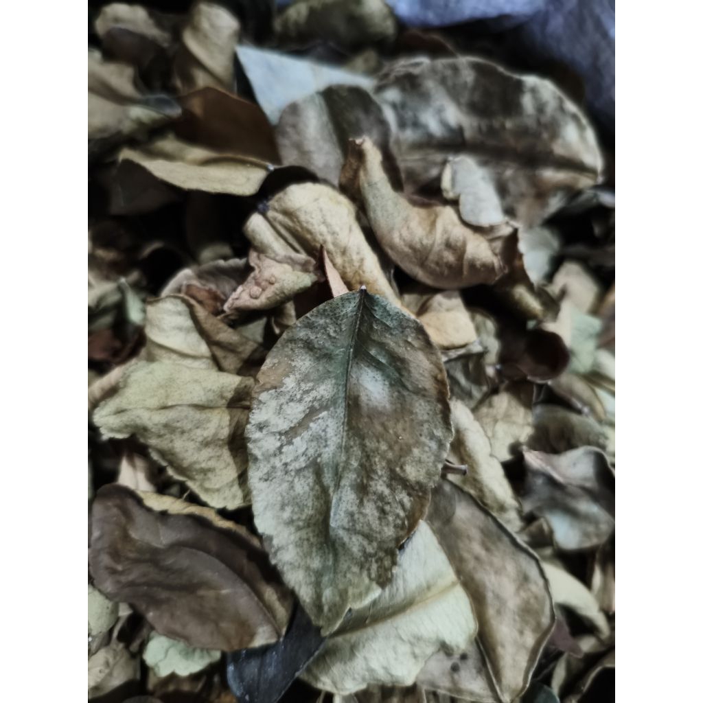 

daun jeruk purut kering 250g