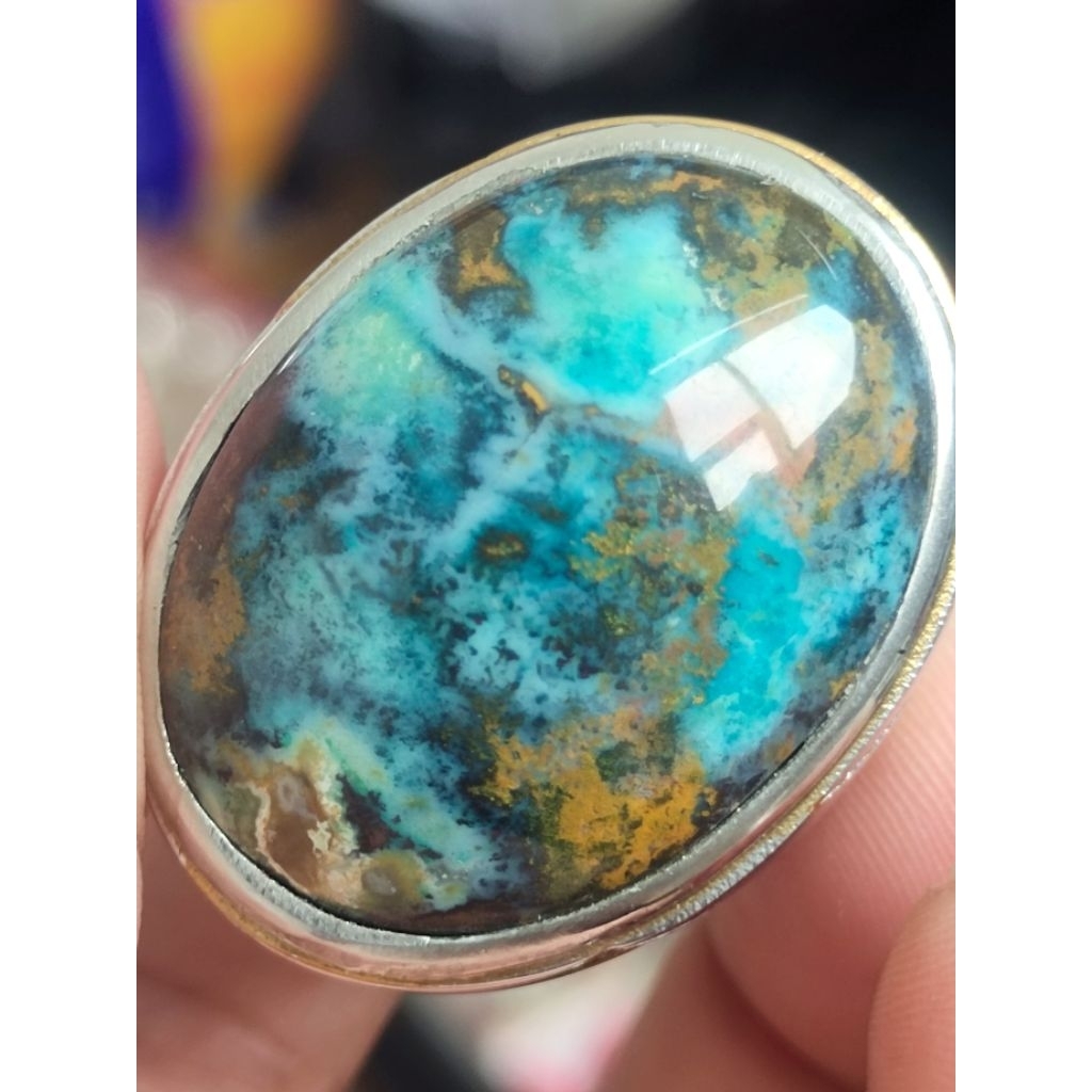 bacan kembang blue z pancawarna segar