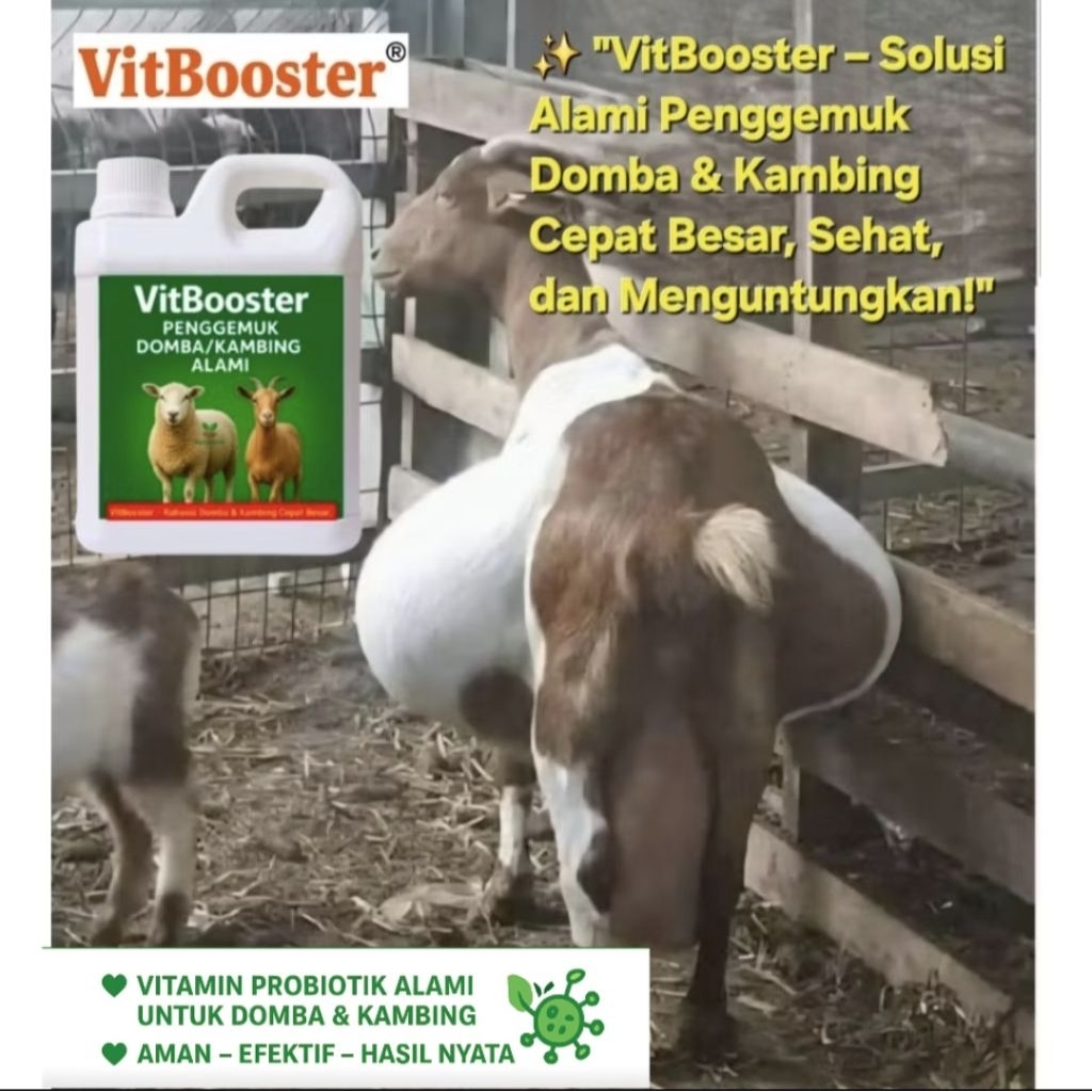 VitBooster Super Domba & Kambing 1Liter – Obat Penggemuk Herbal Probiotik, Ternak Sehat Cepat Besar
