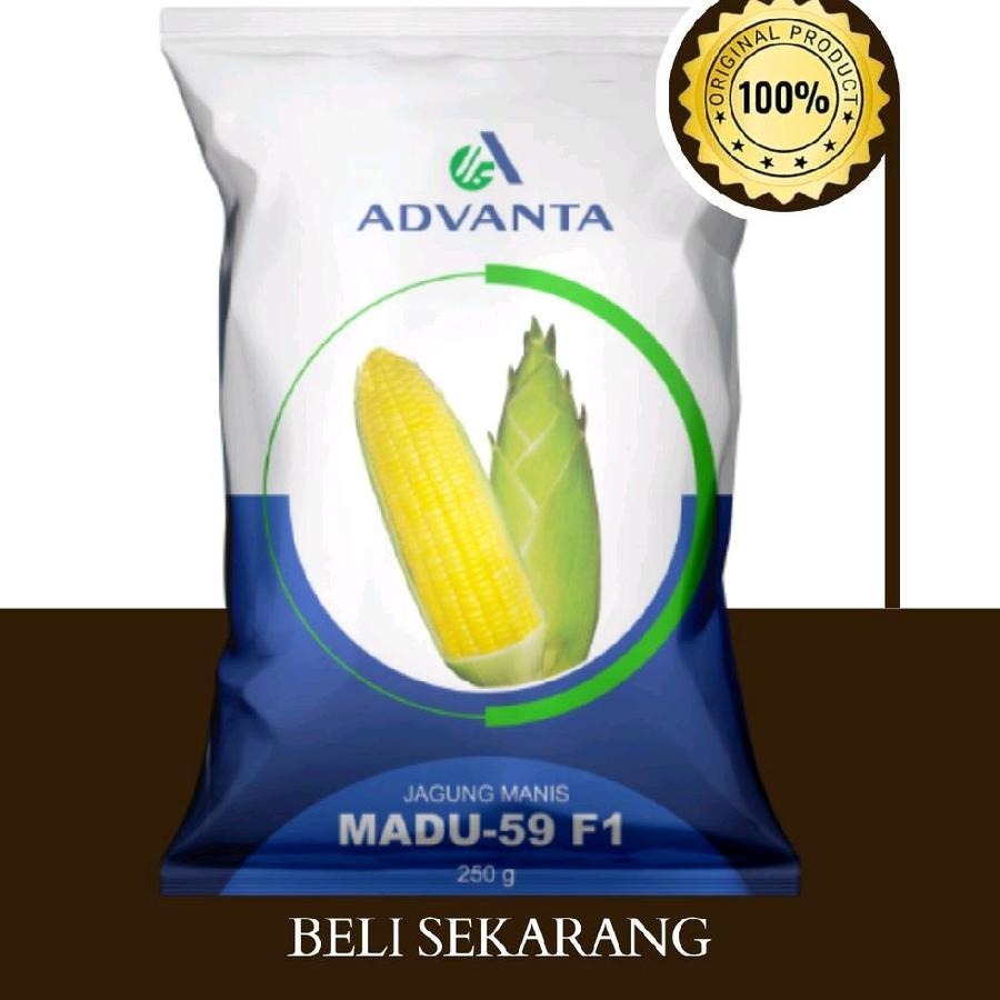 

TOP SALE  BENIH JAGUNG MANIS ADVANTA MADU 59 F1 ISI 250 GRAM ORIGINAL ASLI KEMASAN PABRIK