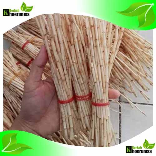 

Akar Alang Alang Segar 500 gram herbal alami fresh