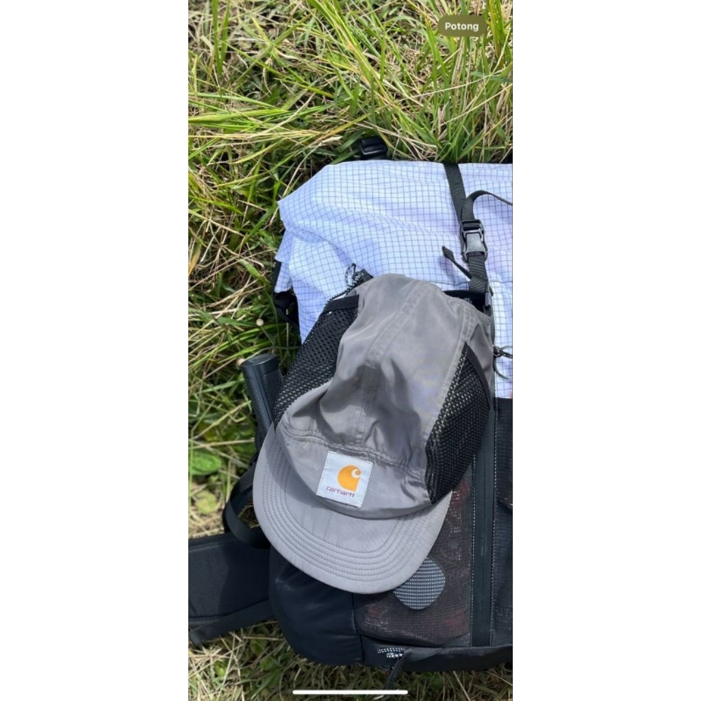 5 panel carhartt