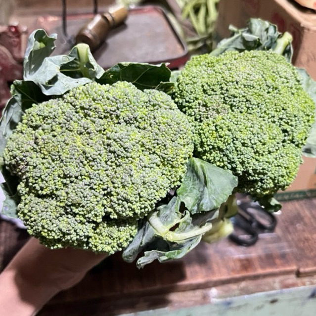 

BROKOLI HIJAU SEGAR Berat 250gr - 1kg