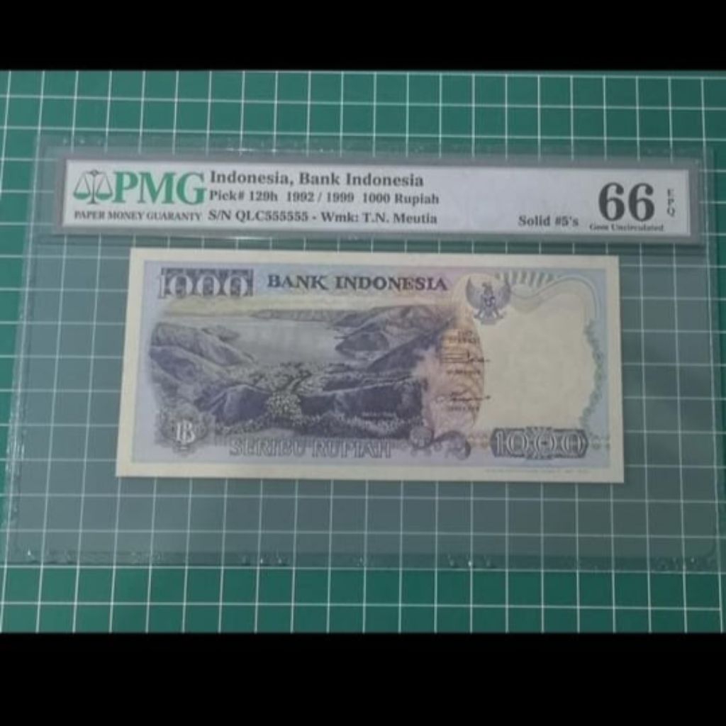 PMG LOMPAT BATU 1000 SOLID 5 PMG 66 EPQ QLC555555