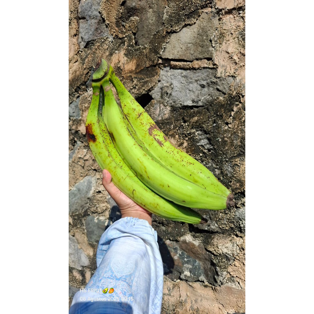 

Pisang tanduk/byar asli gunung muria 1kg isi 3/4