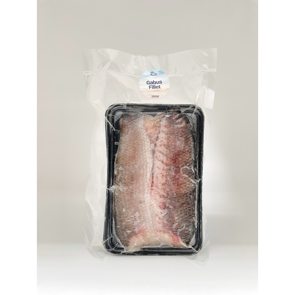 

Tsakha Fish-Ikan Gabus Liar Tinggi Albumin dan Omega