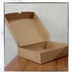 

B 20 ( NO PE ) UK. XL ( BOX PIZZA )