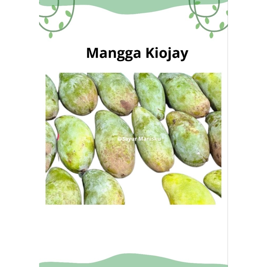 

Mangga Kiojay jumbo